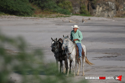 NSR_0221_Colorados_PM_April_16_2021_LR
