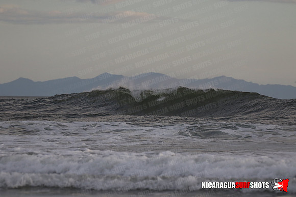 NSR_0484_Panga_Drops_January_26_2022_LR