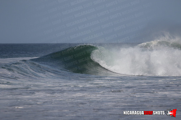 NSS_0166_Panga_Drops_January_29_2022_LR