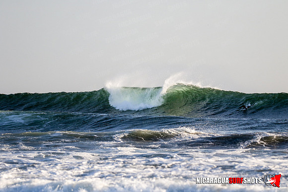 NSR_0704_Panga_Drops_January_18_2022_CC_Logo