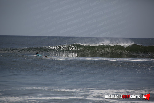 NSR_0617_Panga_Drops_April_11_2021_LR