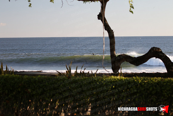 NSR_0021_Panga_Drops_February_02_2022_LR