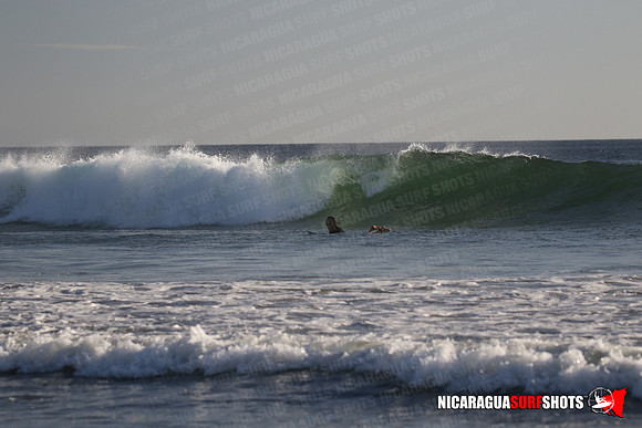 NSR_0526_Panga_Drops_January_23_2022_LR