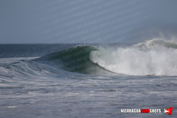 NSS_0167_Panga_Drops_January_29_2022_LR