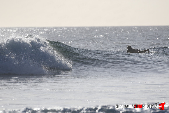NSR_0338_Panga_Drops_January_23_2022_LR