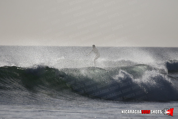 NSR_0443_Panga_Drops_January_23_2022_LR