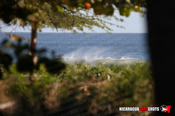 NSR_0003_Panga_Drops_January_16_2022_LR