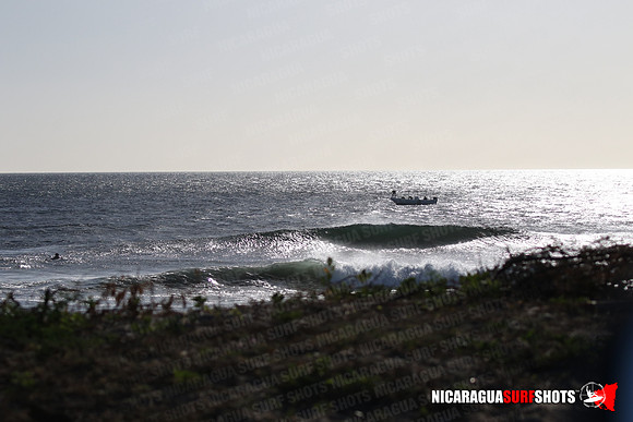 NSR_0018_Panga_Drops_January_23_2022_LR