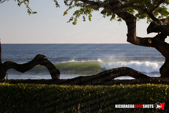 NSR_0012_Panga_Drops_February_02_2022_LR