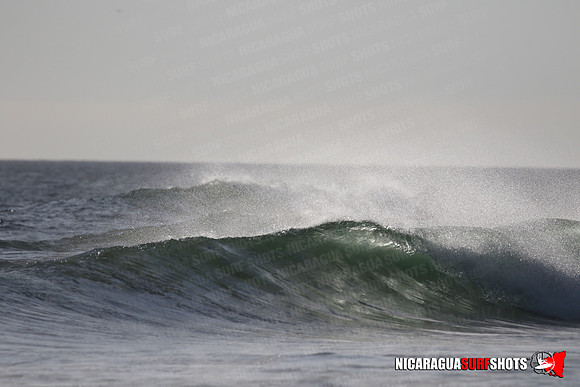 NSR_0326_Panga_Drops_January_23_2022_LR