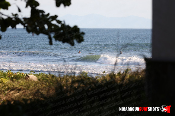 NSR_0008_Panga_Drops_January_16_2022_LR