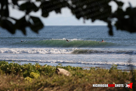 NSR_0060_Panga_Drops_January_16_2022_LR