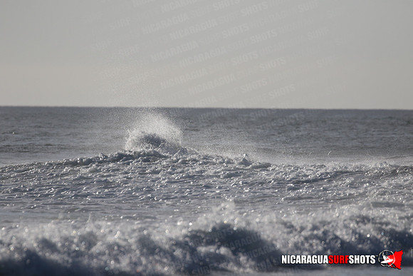 NSR_0424_Panga_Drops_January_23_2022_LR