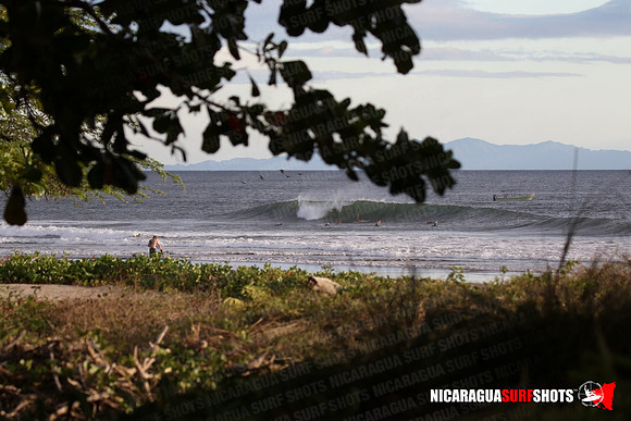 NSR_0087_Panga_Drops_January_26_2022_LR