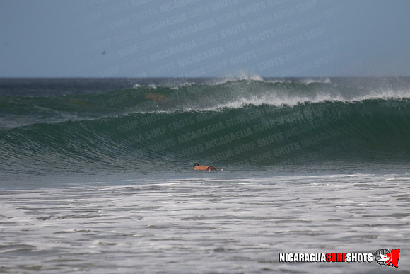 NSS_0087_Panga_Drops_January_28_2022_LR