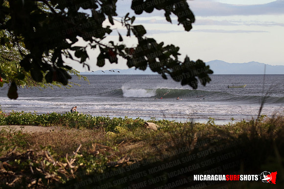NSR_0093_Panga_Drops_January_26_2022_LR