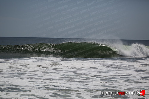 NSR_0639_Panga_Drops_April_11_2021_LR