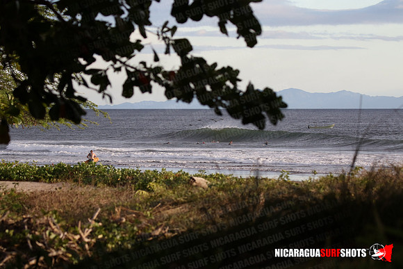 NSR_0080_Panga_Drops_January_26_2022_LR