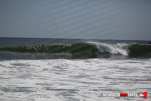 NSR_0635_Panga_Drops_April_11_2021_LR