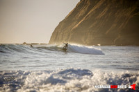 Brian Coleman LOW RES