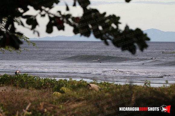 NSR_0129_Panga_Drops_January_26_2022_LR