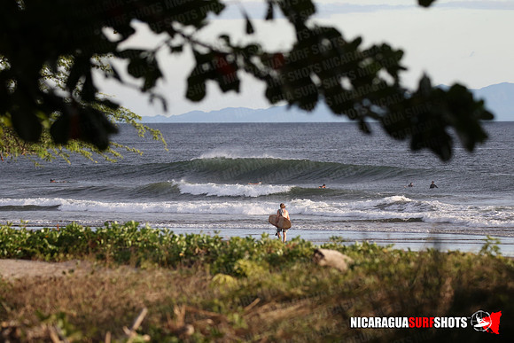 NSR_0049_Panga_Drops_January_26_2022_LR