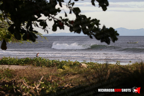 NSR_0102_Panga_Drops_January_26_2022_LR