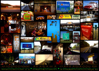 MS_AL_FL_Canvas