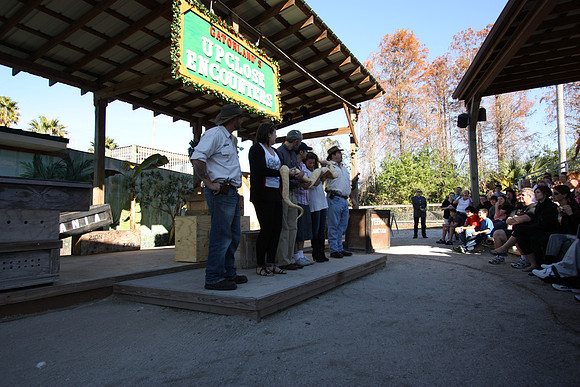 IMG_1875