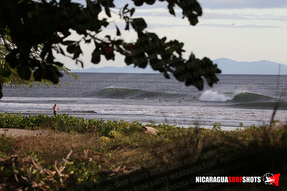 NSR_0112_Panga_Drops_January_26_2022_LR