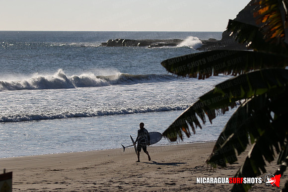 NSR_0127_Panga_Drops_January_16_2022_LR