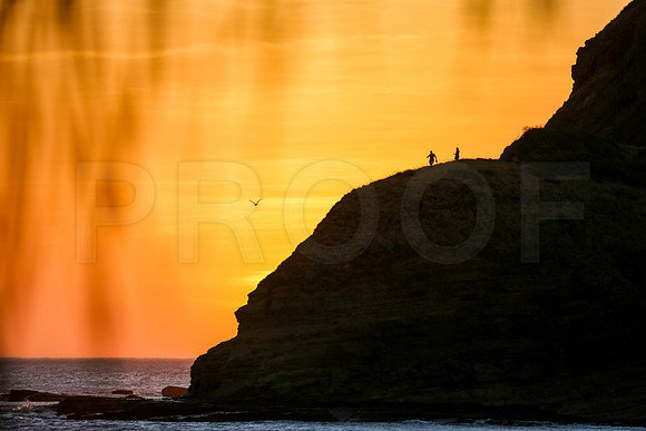NSR_0581_Panga_Drops_Mar_10_2019_CC