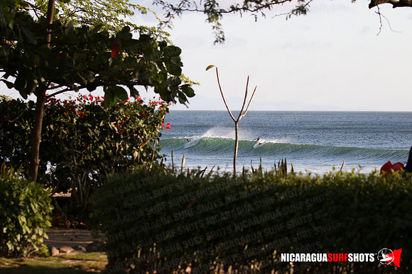 NSR_0011_Panga_Drops_January_18_2022_LR