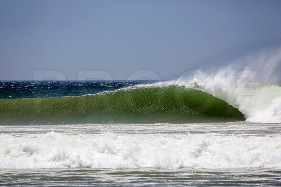 014_NSR_0113_Panga_Drops_Mar_17_2019_CC_