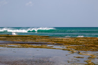 NSR_0019_Playa_Rosada_July_16_2021_CC