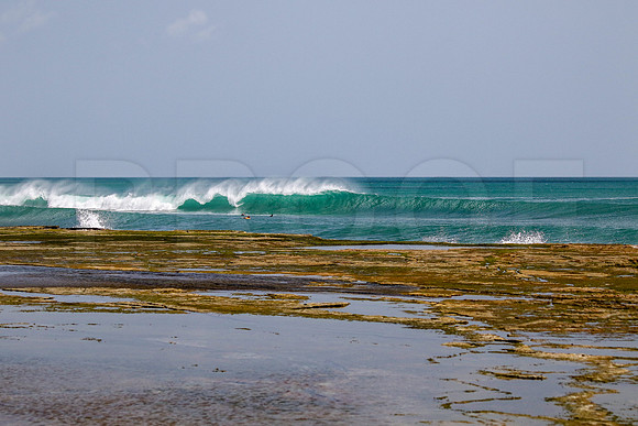 NSR_0019_Playa_Rosada_July_16_2021_CC