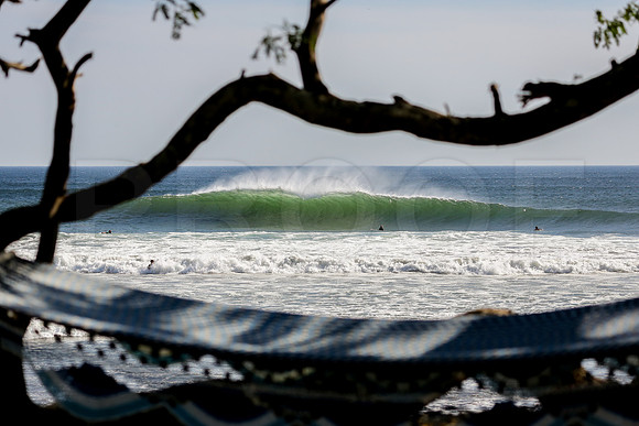 015_NSR_0124_Panga_Drops_Mar_24_2019_CC