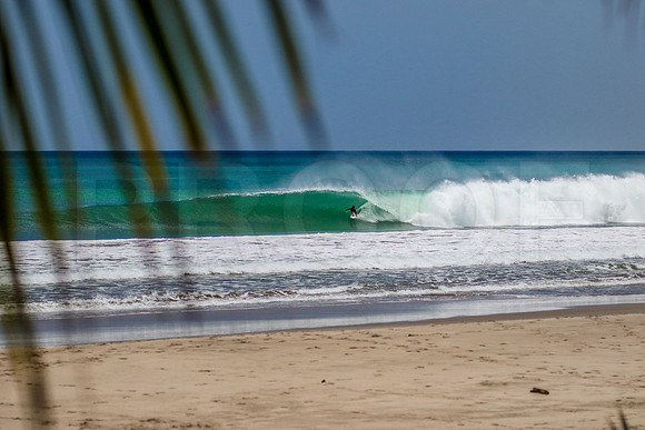 054_NSR_1161_Coorados_May_12_2019_CC