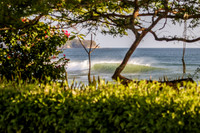 NSR_0026_Panga_Drops _Feb_01_2021_CC
