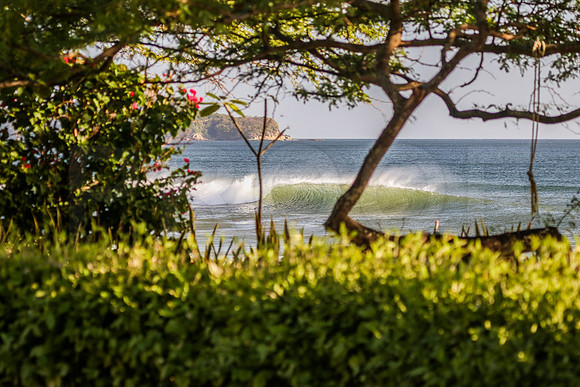 NSR_0026_Panga_Drops _Feb_01_2021_CC