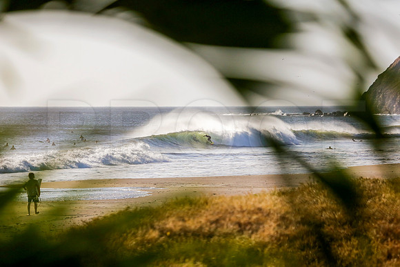NSR_0047_Panga_Drops_Jan_24_2019_CC