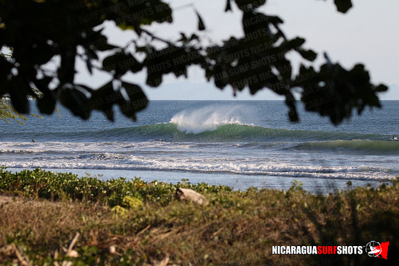NSR_0097_Panga_Drops_January_16_2022_LR