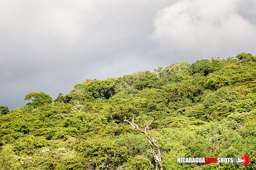 NSR_0189_Colorados_Nov_11_2018_CM_CC_Logo