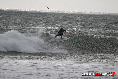 NSR_0485_Colorados_Nov_11_2018_CM_LR