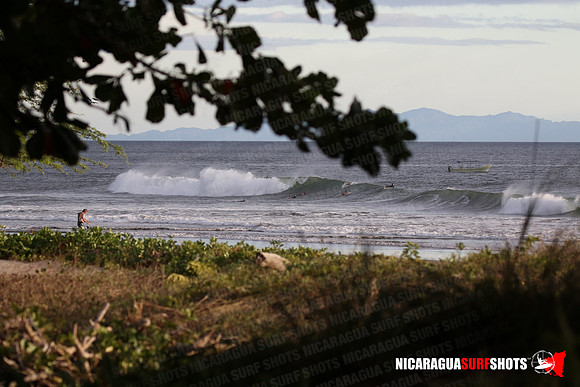 NSR_0107_Panga_Drops_January_26_2022_LR