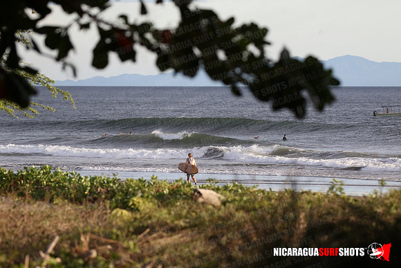 NSR_0045_Panga_Drops_January_26_2022_LR