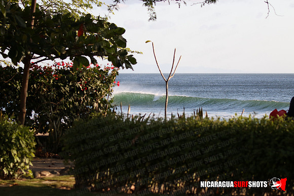 NSR_0017_Panga_Drops_January_18_2022_LR