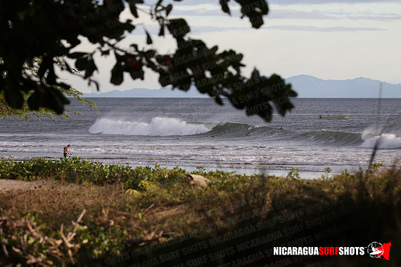 NSR_0106_Panga_Drops_January_26_2022_LR