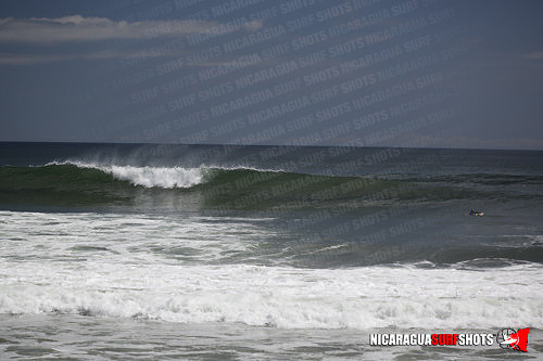 NSR_0218_Panga_Drops_April_11_2021_LR