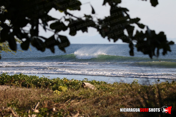 NSR_0100_Panga_Drops_January_16_2022_LR